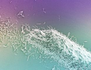 ‘Thinking Through Making’ from Istanbul to London