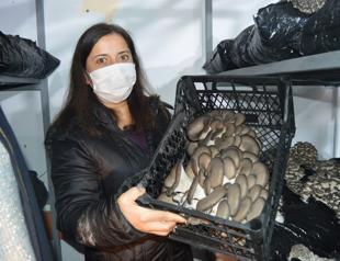 Women grow mushrooms in unused high school