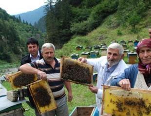Turkey’s Anzer honey gets geographical indication