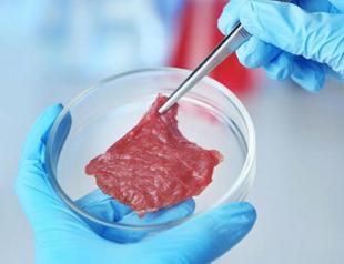 Turkish university working on solutions to reduce price of artificial meat