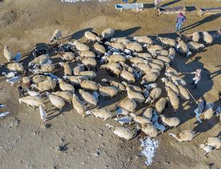 Nomads preserve their ancestral way of life