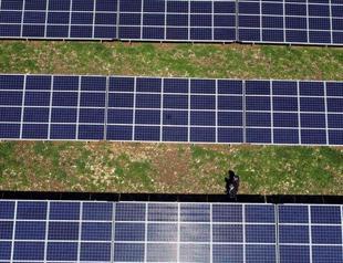 Turkey should follow EUs path towards green economy: Ambassador