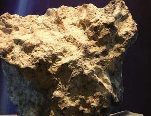 Meteorite found on chickpea field sold for $180,000