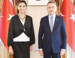 Oktay rebuffs criticisms against presidential system