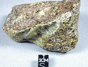 Scientists unearth meteorite from birth of solar system