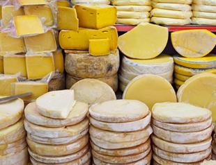 Turkeys cheese diversity more than known: Expert