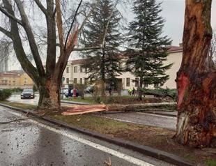 Lightning strikes at Turkish parliaments garden