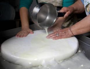 Cyprus’ famed halloumi cheese earns coveted EU quality mark
