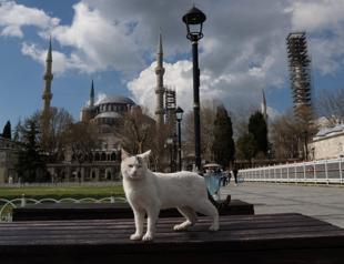 Government weighing stricter measures during Ramadan