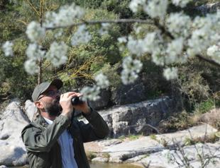 Avid birdwatcher identified 120 bird species in decade