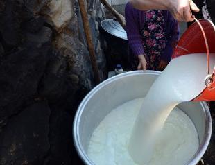 Milk production rises 3.3 pct in Q1