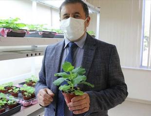 Turkish university develops COVID-19 vaccine candidate