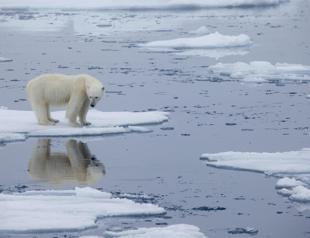 US, China agree to cooperate on climate crisis
