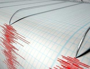 Magnitude 4.0 quake shakes western Turkey