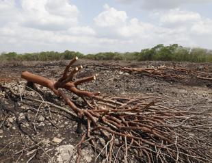 World leaders pledge climate cooperation despite other rifts