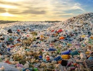Turkey largest importer of waste from EU in 2020: Greenpeace