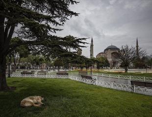 Turkey enters full lockdown until May 17