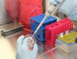 Turkey to drop PCR test obligation from 16 countries
