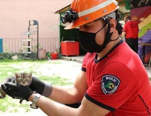 ‘Meow’ sounds from mobile phone help save stranded kittens