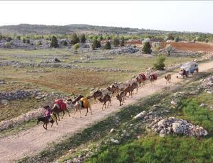 Nomadic Turks preserve lifestyle defying technology