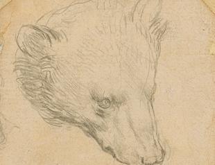 Da Vinci’s ‘Head of Bear’ drawing seen fetching up to $16 mln
