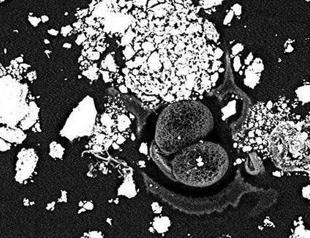 Asbestos found on car wandering across Istanbul