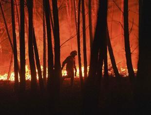 Millions at risk as cities fail to adapt to climate change: Report