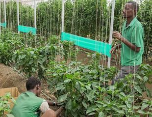 Turkish companies make $105 mln investment in S Sudan agro-industrial project