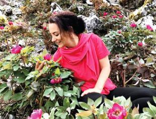 Fine for plucking peony nears $10,000