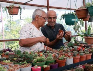 Local man builds 1,200 cacti garden for wife with cancer