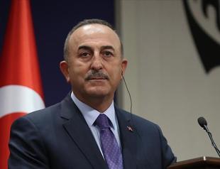 Turkish foreign minister discusses Palestine with counterparts