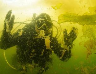 Sea saliva threatens underwater life off Istanbul