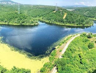 Istanbul dams record highest water level in a year: Data