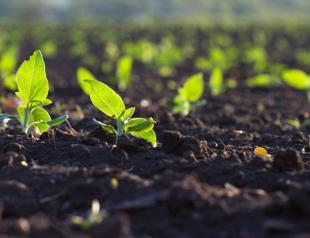 Soil is the solution: Op-ed