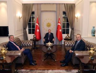 Turkish president, FM discuss Palestine with Pakistani counterpart