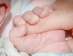 Birth rate declining in Turkey: Report