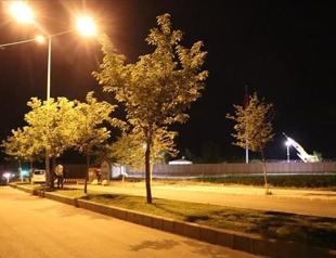 Terror attack attempts thwarted in southeastern Turkey