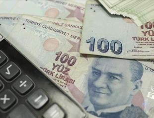 Turkish Treasury borrows $1bln through auctions