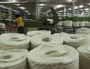 Turkeys manufacturing capacity usage down in May