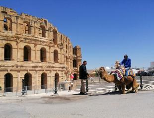 No camel rides in Tunisian town as COVID slowly kills tourism