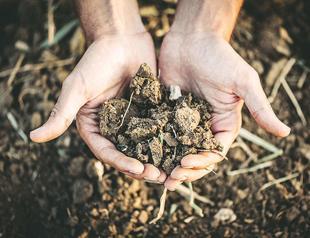 Water scarcity threatens agricultural production in Turkey’s breadbasket