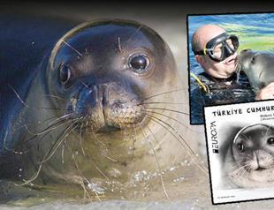 PTT enters in Europa stamp competition with monk seal stamp