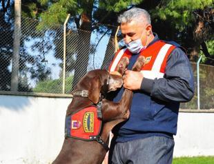 Sniffer dog ‘Volta’ retires after 10 years of service