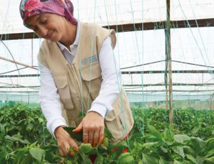 UN project offers training, jobs for locals, Syrians in Turkey