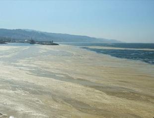 Experts call for quick action against sea snot in Marmara Sea