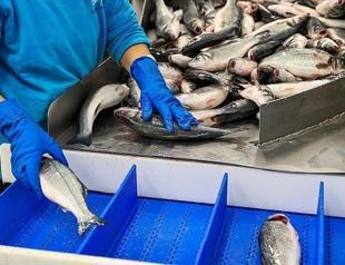 Turkeys fishery production down in 2020