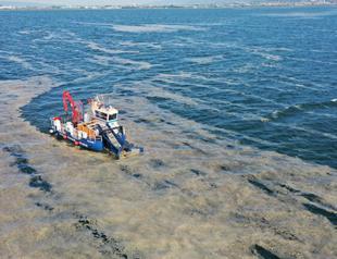 Mucilage may kill Black Sea: Expert