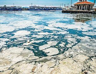 Turkey vows to solve sea snot problem in Marmara Sea