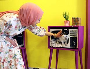 Ankara’s first cat café reopens