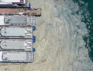 Turkey launches massive cleanup campaign against mucilage